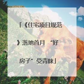 《住宅项目规范》落地首月 “好房子”受青睐