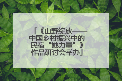 《山野绽放——中国乡村振兴中的民宿“她力量”》作品研讨会举办
