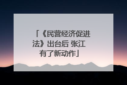 《民营经济促进法》出台后 张江有了新动作