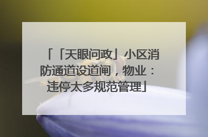 「天眼问政」小区消防通道设道闸，物业：违停太多规范管理