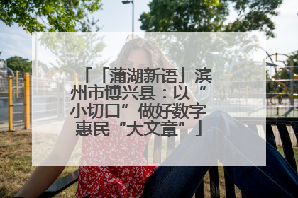 「蒲湖新语」滨州市博兴县：以“小切口”做好数字惠民“大文章”