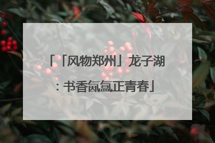 「风物郑州」龙子湖：书香氤氲正青春
