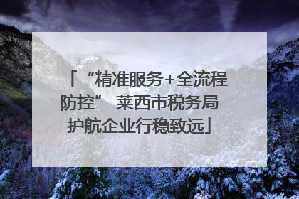 “精准服务+全流程防控” 莱西市税务局护航企业行稳致远