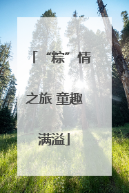 “粽”情之旅 童趣满溢