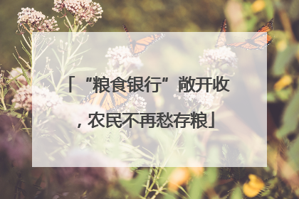 “粮食银行”敞开收，农民不再愁存粮