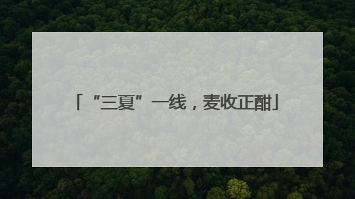 “三夏”一线，麦收正酣