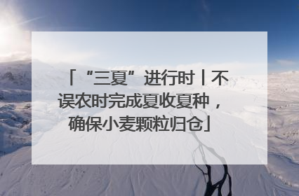 “三夏”进行时丨不误农时完成夏收夏种，确保小麦颗粒归仓