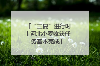 “三夏”进行时丨河北小麦收获任务基本完成
