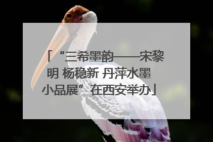 “三希墨韵——宋黎明 杨稳新 丹萍水墨小品展”在西安举办