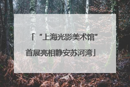 “上海光影美术馆”首展亮相静安苏河湾