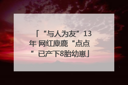 “与人为友”13年 网红麋鹿“点点”已产下8胎幼崽