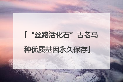 “丝路活化石”古老马种优质基因永久保存