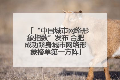 “中国城市网络形象指数”发布 合肥成功跻身城市网络形象榜单第一方阵