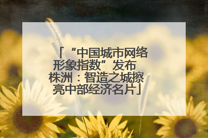 “中国城市网络形象指数”发布 株洲：智造之城擦亮中部经济名片