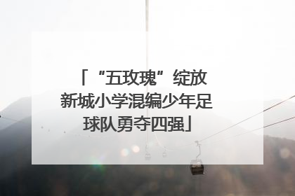 “五玫瑰”绽放 新城小学混编少年足球队勇夺四强