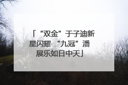 “双金”于子迪新星闪耀 “九冠”潘展乐如日中天