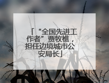 “全国先进工作者”贾牧樵，担任边境城市公安局长