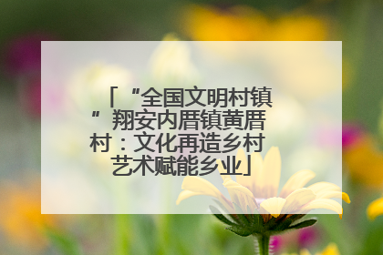 “全国文明村镇”翔安内厝镇黄厝村：文化再造乡村 艺术赋能乡业