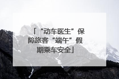 “动车医生”保障旅客“端午”假期乘车安全