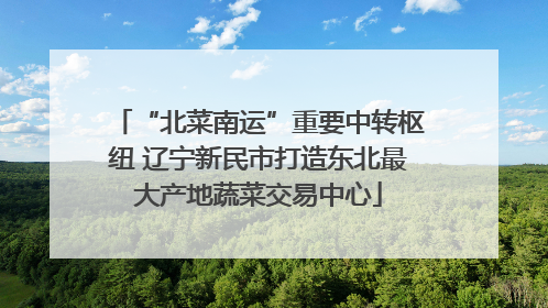 “北菜南运”重要中转枢纽 辽宁新民市打造东北最大产地蔬菜交易中心
