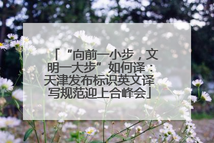 “向前一小步，文明一大步”如何译：天津发布标识英文译写规范迎上合峰会