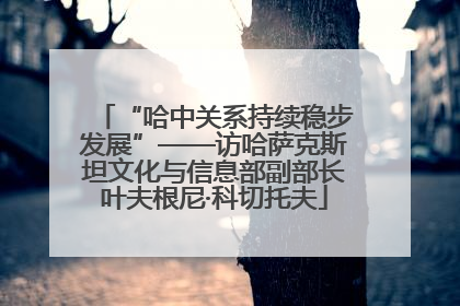 “哈中关系持续稳步发展”——访哈萨克斯坦文化与信息部副部长叶夫根尼·科切托夫