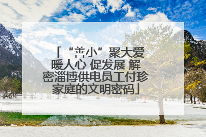 “善小”聚大爱 暖人心 促发展 解密淄博供电员工付珍家庭的文明密码