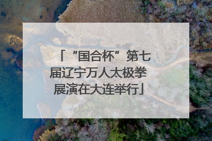 “国合杯”第七届辽宁万人太极拳展演在大连举行