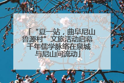 “夏一站，曲阜尼山鲁源村”文旅活动启幕 千年儒学脉络在泉城与尼山间流动