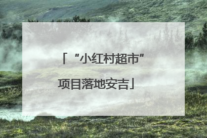 “小红村超市”项目落地安吉