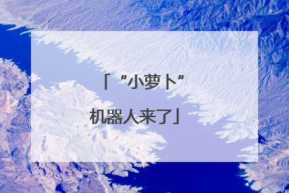 “小萝卜”机器人来了