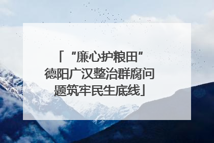 “廉心护粮田” 德阳广汉整治群腐问题筑牢民生底线