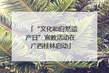 “文化和自然遗产日”宣教活动在广西桂林启动