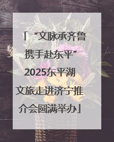 “文脉承齐鲁 携手赴东平”2025东平湖文旅走进济宁推介会圆满举办