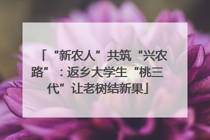 “新农人”共筑“兴农路”：返乡大学生“桃三代”让老树结新果