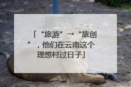 “旅游”→“旅创”，他们在云南这个理想村过日子