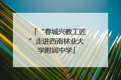 “春城兴教工匠”走进西南林业大学附属中学