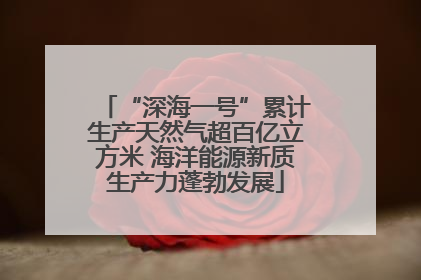 “深海一号”累计生产天然气超百亿立方米 海洋能源新质生产力蓬勃发展