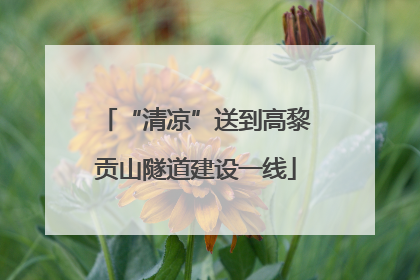 “清凉”送到高黎贡山隧道建设一线