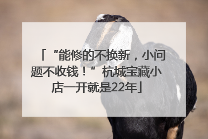 “能修的不换新，小问题不收钱！”杭城宝藏小店一开就是22年