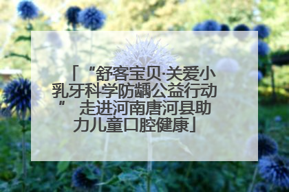 “舒客宝贝·关爱小乳牙科学防龋公益行动” 走进河南唐河县助力儿童口腔健康