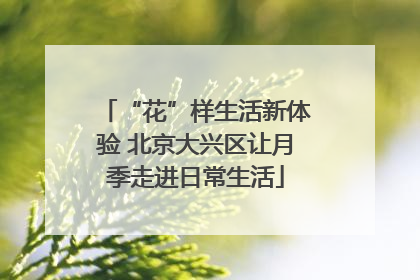 “花”样生活新体验 北京大兴区让月季走进日常生活