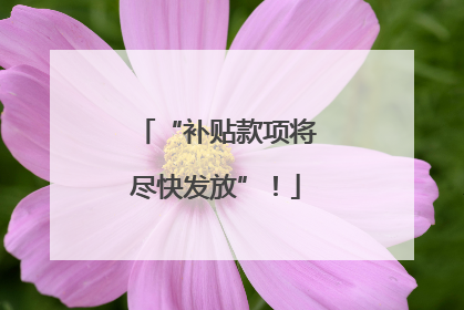 “补贴款项将尽快发放”！