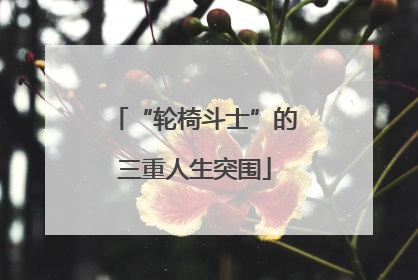 “轮椅斗士”的三重人生突围
