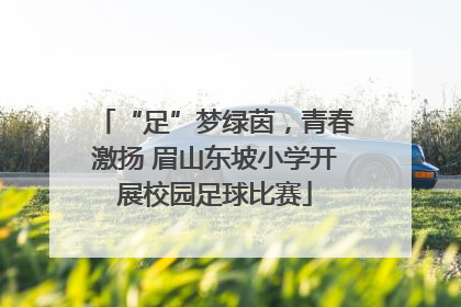 “足”梦绿茵，青春激扬 眉山东坡小学开展校园足球比赛