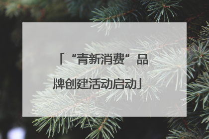 “青新消费”品牌创建活动启动