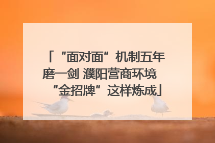 “面对面”机制五年磨一剑 濮阳营商环境“金招牌”这样炼成