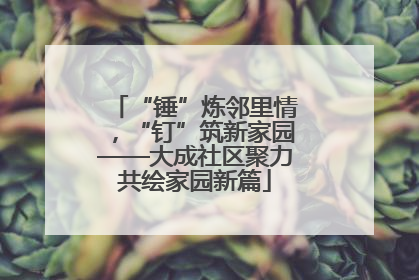 “锤”炼邻里情，“钉”筑新家园——大成社区聚力共绘家园新篇