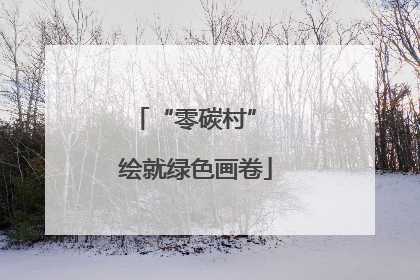 “零碳村” 绘就绿色画卷