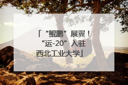 “鲲鹏”展翼！“运-20”入驻西北工业大学